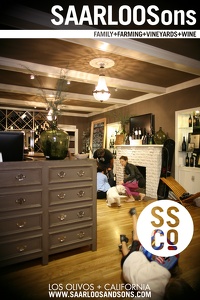 Photo 42942