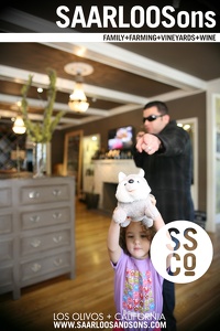 Photo 41372 