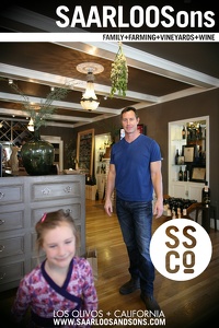 Photo 41934