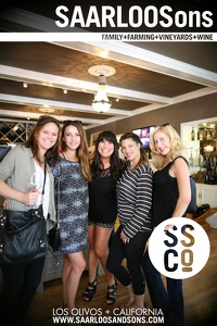 Photo 39892