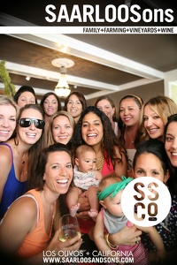 Photo 28287