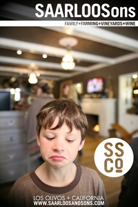 Photo 40501 