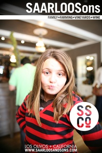 Photo 40685