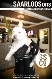 Photo 40624
