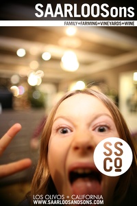 Photo 42896