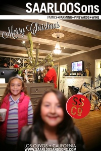 Photo 16981 
