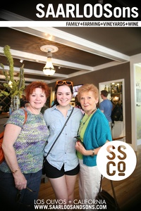 Photo 27449