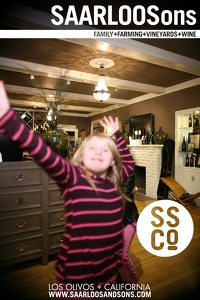 Photo 42902