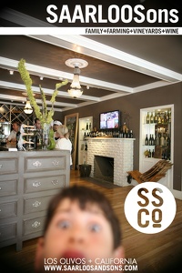 Photo 7191