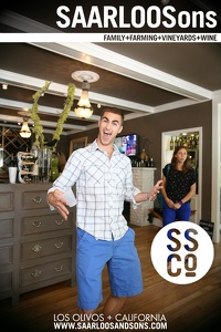 Photo 9887