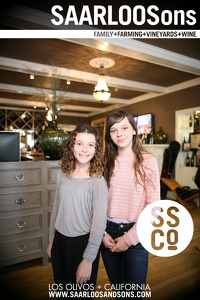 Photo 43719