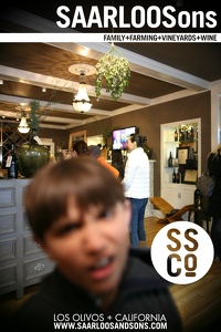Photo 41553 