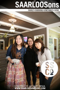 Photo 28456