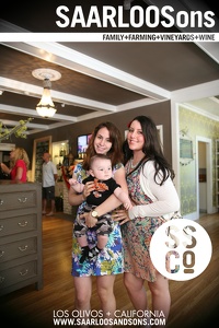 Photo 28463