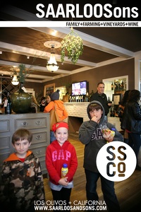 Photo 41549 