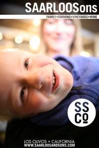 Photo 41714 