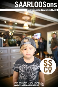Photo 42372