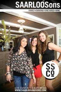 Photo 27482