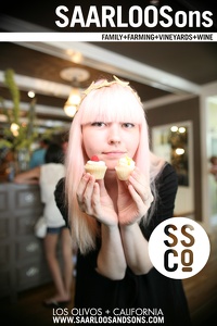 Photo 27623