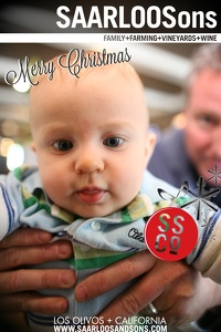 Photo 17351 