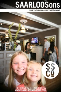 Photo 9933