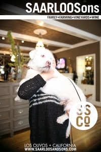 Photo 40625