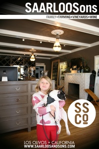 Photo 44642 