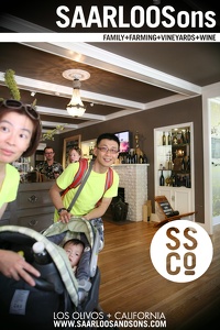 Photo 27818 
