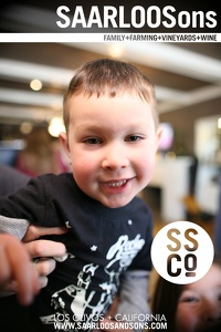 Photo 44243 