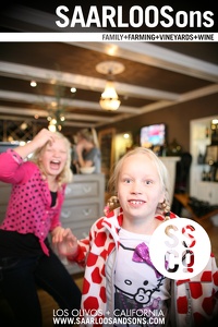 Photo 43479