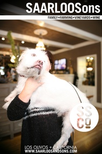 Photo 40622