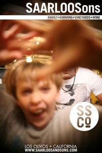 Photo 45449 