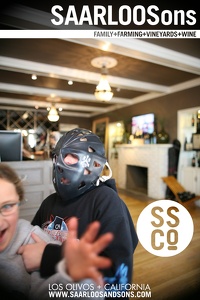 Photo 44515