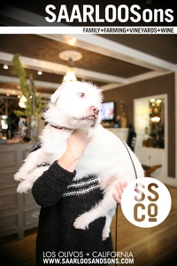 Photo 40621