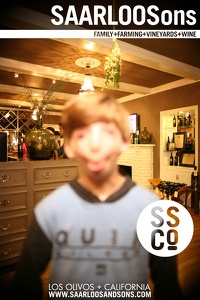 Photo 42010