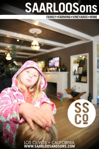 Photo 41415 