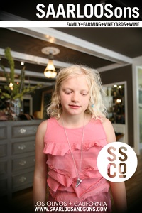 Photo 27937 