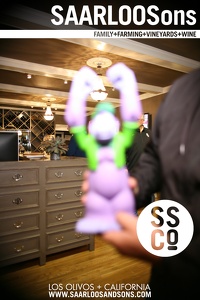 Photo 40253 