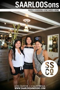 Photo 12816 
