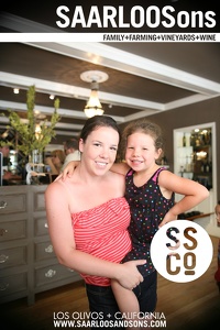 Photo 29481 