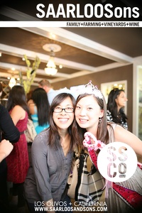 Photo 13773