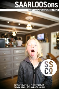 Photo 40502 