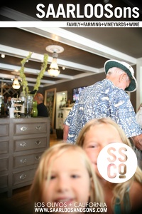 Photo 9911