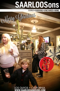 Photo 16974 