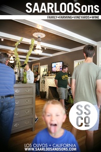 Photo 9972