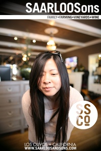 Photo 43342