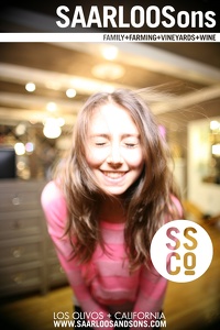 Photo 40041