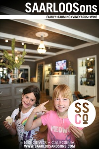 Photo 29345