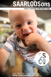 Photo 28773